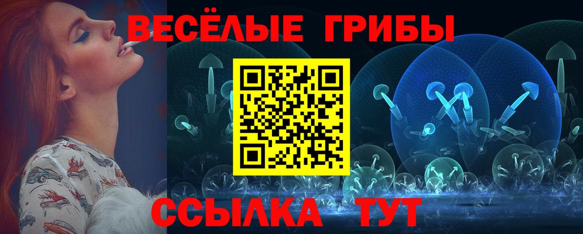 Псилоцибиновые грибы MAGIC MUSHROOMS Кириши